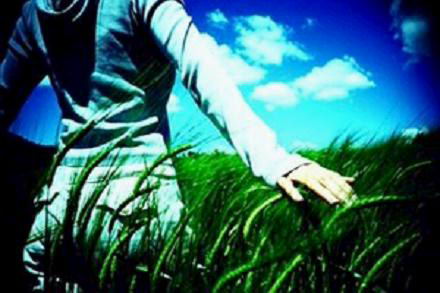 网络,那只独行的妖妖