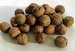 ���������ϲ�����ʳ�Ը�����