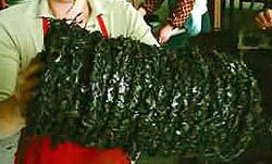 ���������ϲ�����ʳ�Ը�����